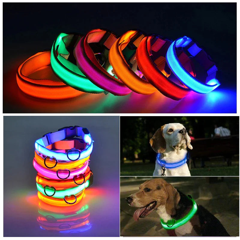 LED dog collar safety, adjustable blinking light up glow collars for pet visibility, waterproof design, brightly colored glowing collars