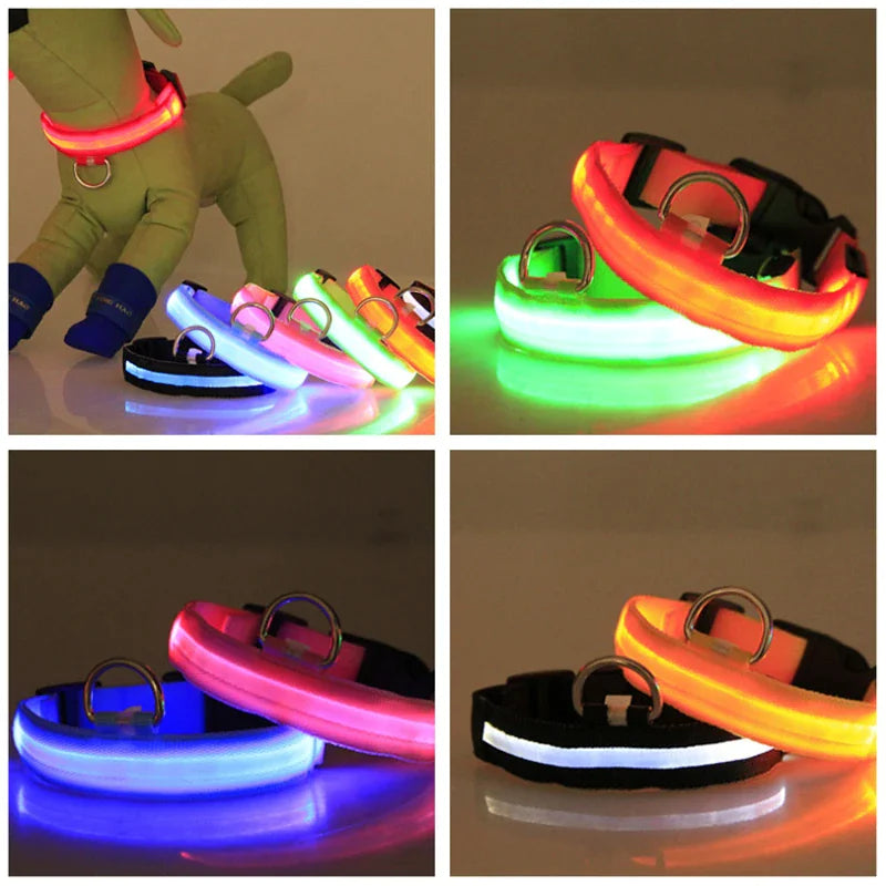 Colorful LED dog collars for safety, featuring high visibility and flashing lights, perfect for nighttime walks. LED dog collar safety.