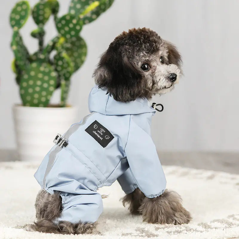 Small dog wearing a WeatherWise Pet Raincoat, perfect dog raincoat for winter, sitting indoors on a cozy rug.