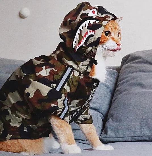 Cat wearing a camouflage waterproof dog raincoat with hood indoors, showcasing stylish pet apparel for rainy days.