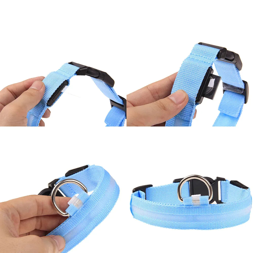 LED dog collar safety - Waterproof light up glow blue adjustable collar for pet visibility with high-quality optical fibers.