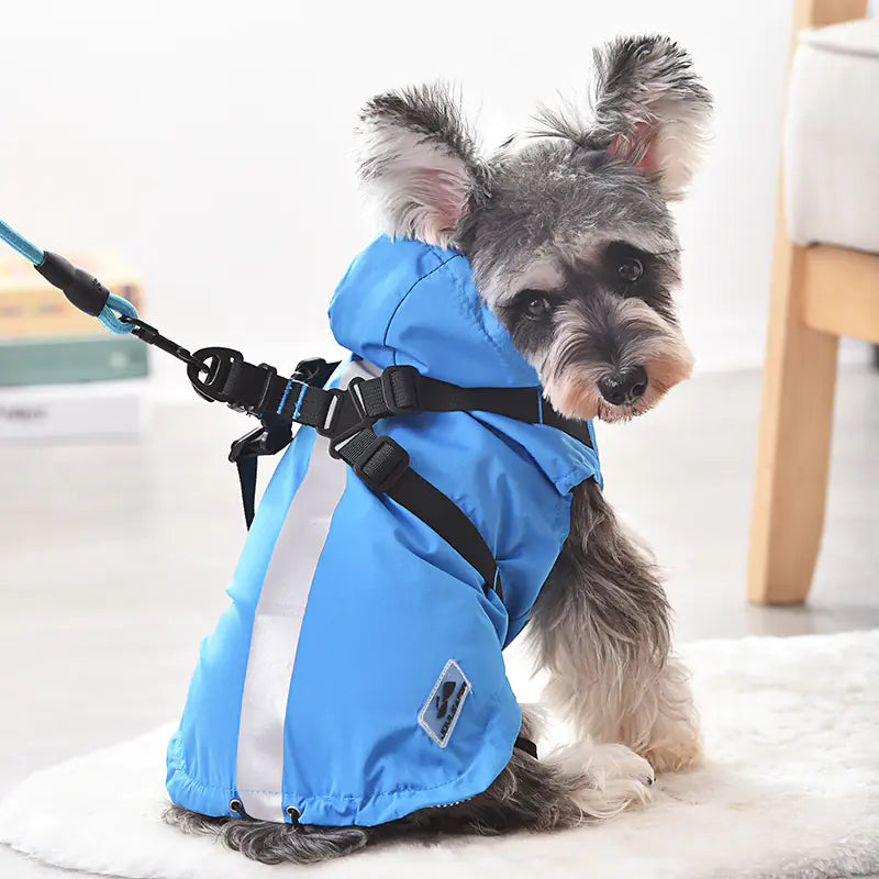Small dog wearing a blue waterproof dog raincoat with a reflective stripe, designed for comfort and protection against rain and snow.