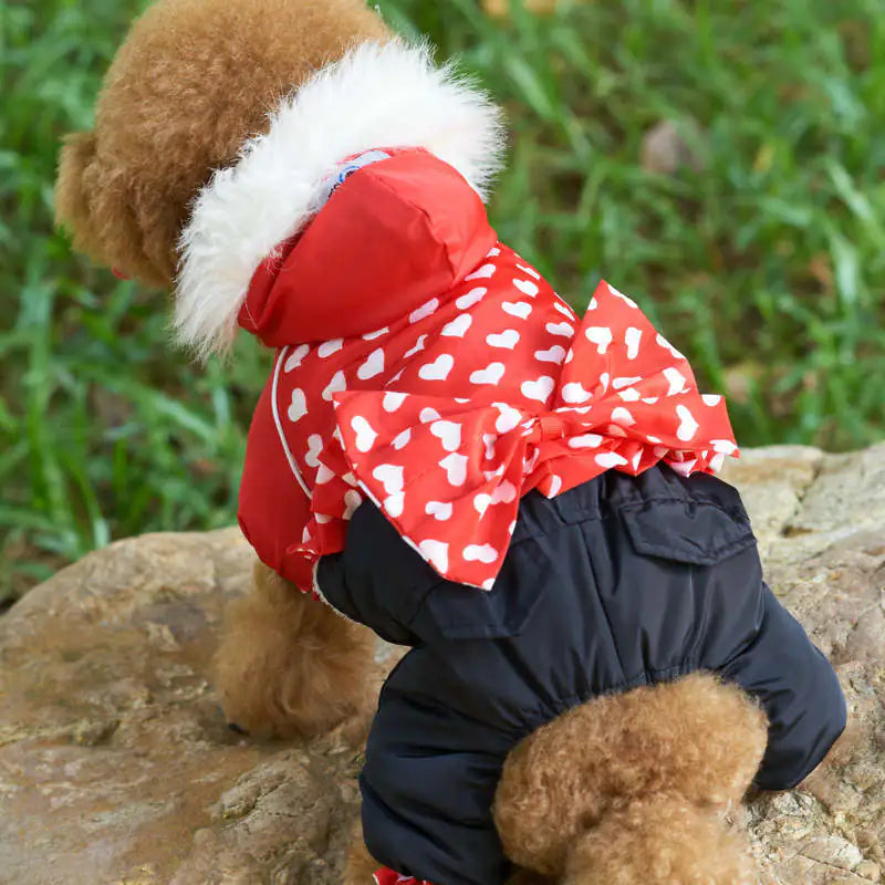 Dog in stylish red and black winter clothing with heart prints, featuring premium dog winter clothing for warmth and style.