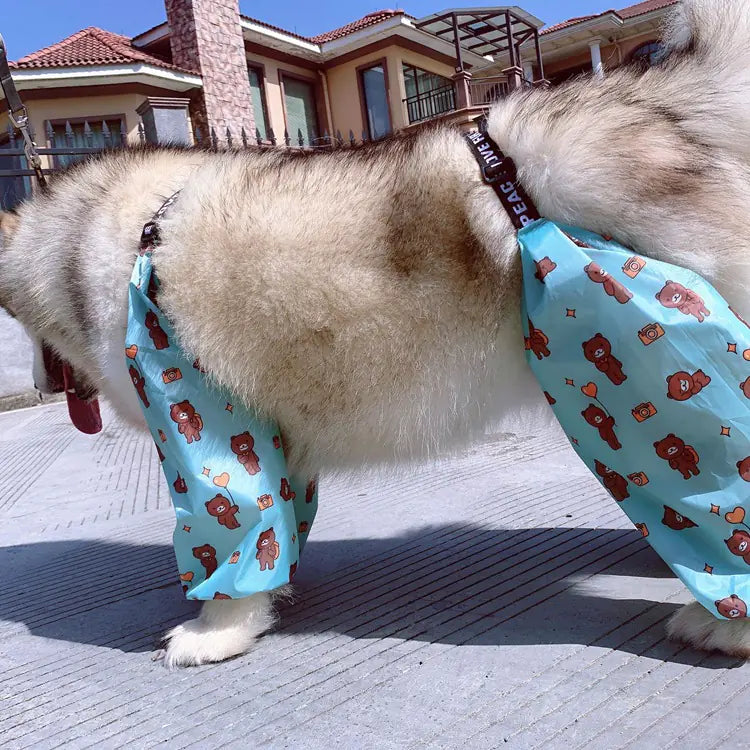 Fluffy dog in an adjustable dog raincoat with a four-legged design, providing full coverage and comfort on a rainy day outdoors.
