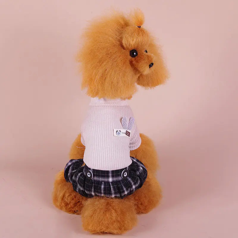 Poodle wearing plaid skirt and white sweater, showcasing puppy winter clothes for warmth and style.