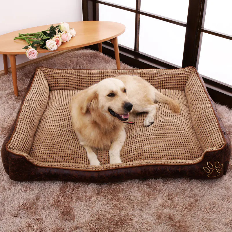 Golden retriever resting on removable washable pet bed in cozy room