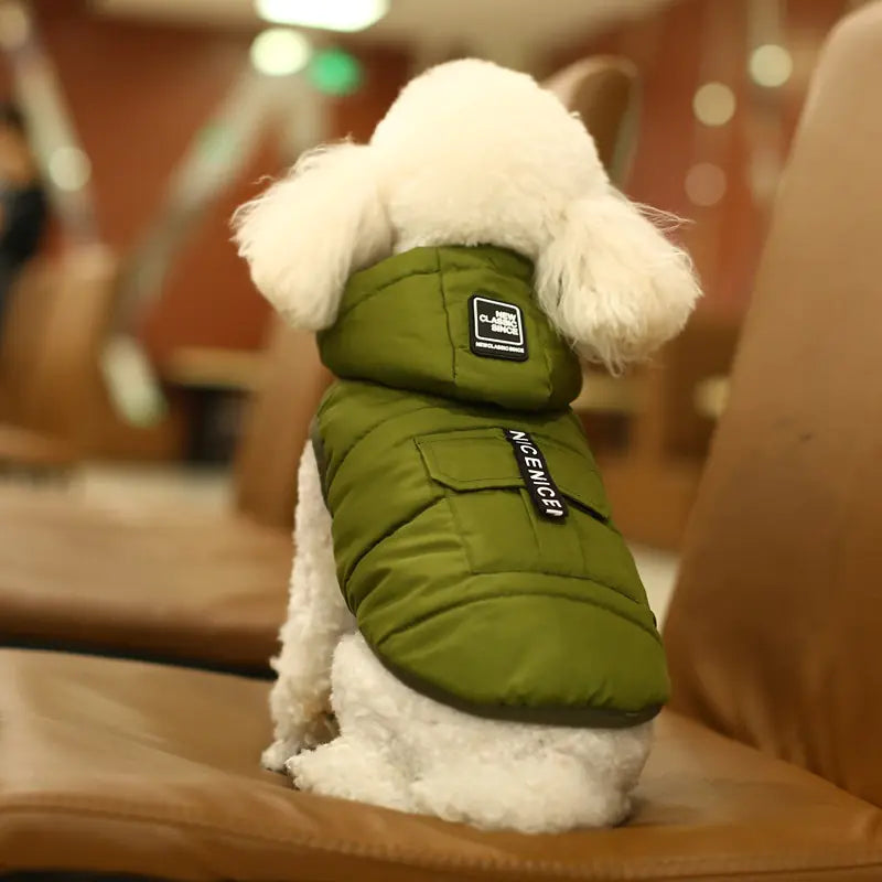 Chic winter dog vest in green on a white fluffy dog, perfect for comfort and style in colder months, made from durable polyester material.