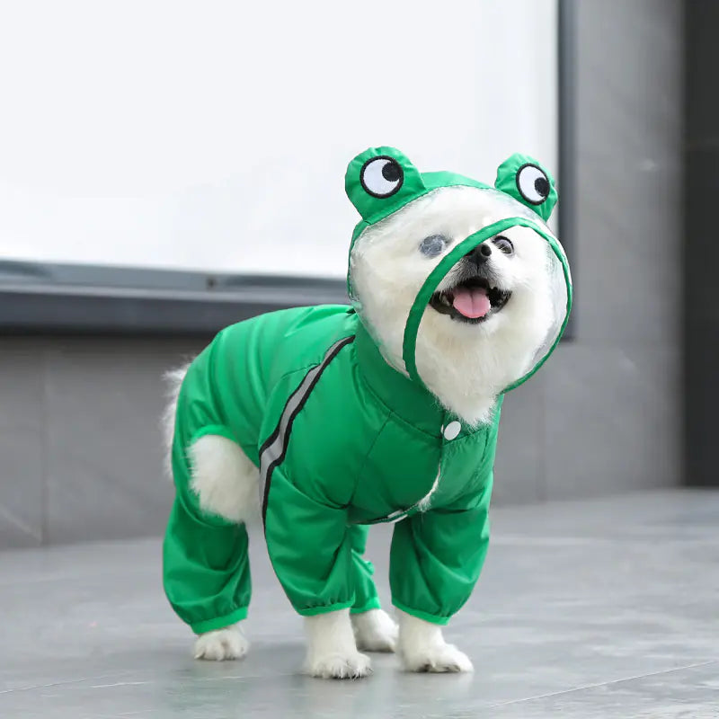 White dog wearing a green all-weather pet raincoat with frog design, perfect for staying dry in any weather condition.
