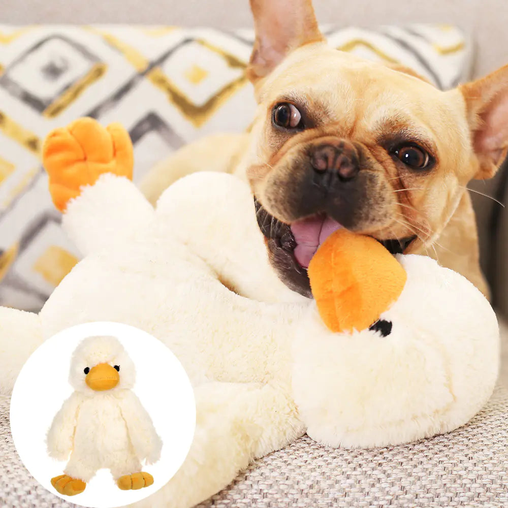 Dog playing with duck-shaped dog plush toys on a couch, showcasing soft and safe pet-friendly materials.