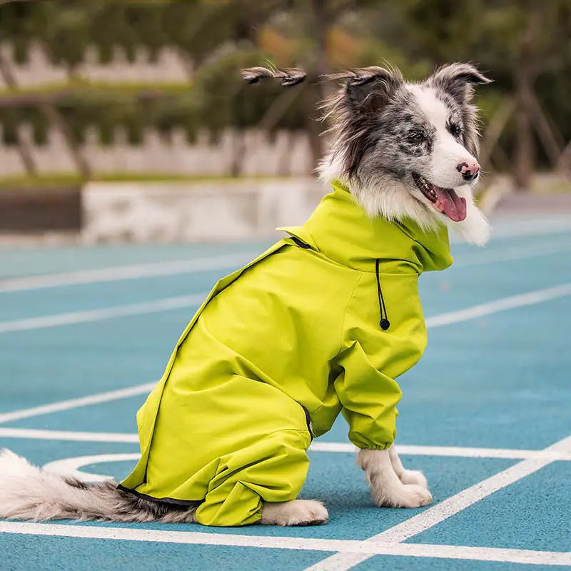 Large dog wearing a reflective waterproof dog coat in bright yellow, sitting on a blue track. Perfect for outdoor adventures.