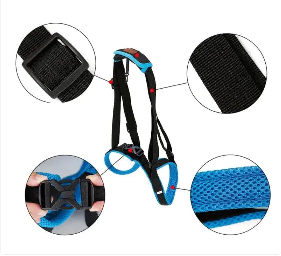 Canine mobility leg strap showcasing durable, breathable materials with close-up details of strap and buckle design for dog support.