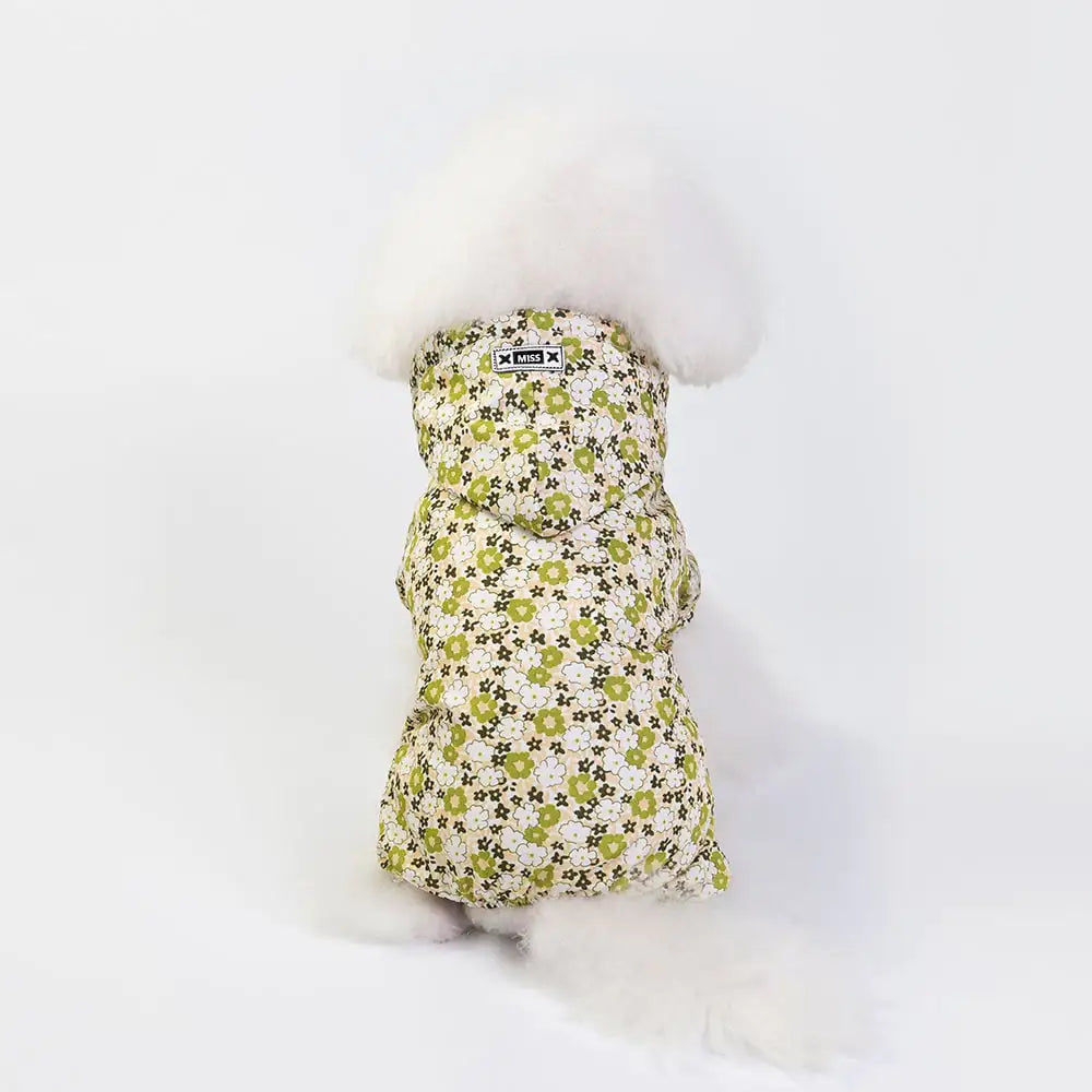 White dog wearing a floral chic waterproof dog jacket, polyester, S-XL, stylish rain protection in pink, yellow, blue, back view.